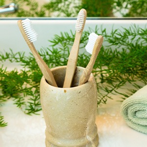 Toothbrushes in holder